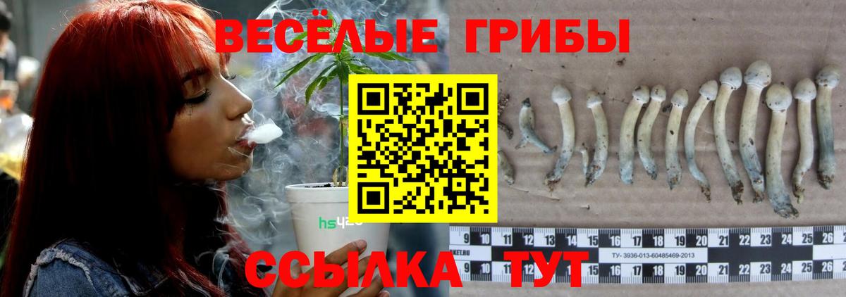 Реутов  Псилоцибиновые грибы GOLDEN TEACHER  где найти наркотики  Вход с VPN 